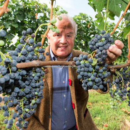 Geschützt: Wein und Design – Weingut Franz Keller und „Edition Fritz Keller“