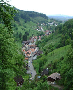 Geschützt: Lerbach im Oberharz – So grün ist mein Tal  Teil:1