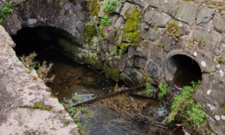 Bild 7: Wasserzufluß vom Kuhkolk und GewölbeEintritt oberhalb von Henrikschen Haus  - Foto: Karin Pinnecke
