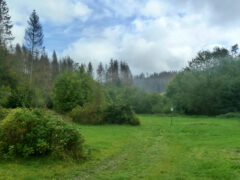 Harz Hideaway: Campingplatz