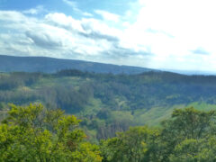 Blick Richtung Mühlenwiese, dahinter der Acker-Höhenzug