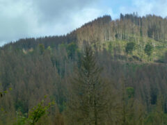 Blick Richtung Clausberg