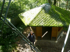 Nordmeyer-Hütte am Aussichtsturm