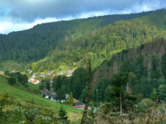 Blick von der Hegemax-Bank auf Oberlerbach