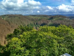 Blick vom Aussichtsturm: Clausthal und Buntenbock mit dem Brocken im Osten