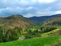 Einmalig - diese Aussicht vom Mariensblick