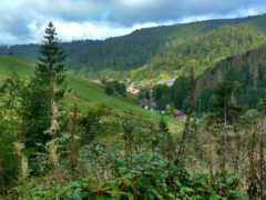 Oberlerbach- Hexenzipfel